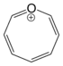 Structure of Oxocine