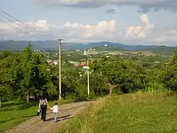 View of Zolotarevo