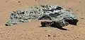 Curiosity's view of an iron meteorite (called "Lebanon") (May 25, 2014).