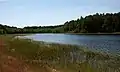A Lobelian lake.