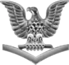 A single silver eagle, its beak facing to its right, perched upon a silver downward-facing chevron.
