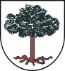 Coat of arms of SośnicowiceKieferstädtel
