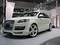 PPI PSQ7