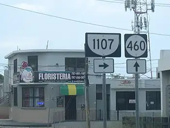 PR-460 and PR-1107 signs near Crash Boat Beach in Aguadilla