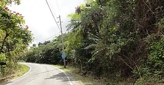 PR-505 traveling Eastbound in Barrio San Patricio, Ponce, Puerto Rico