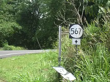 PR-567 at its junction with PR-5567 in Vaga