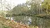 Paices Wood Country Parkland