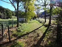 The trail.