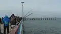 Fishermen on the pier