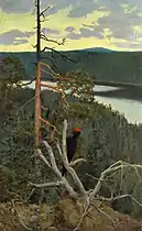 Black Woodpecker, 1894 (fi)