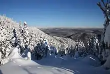 View of the park in the winter