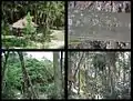 Parque Gustavo Knoop or parque Los coquitos en Los Teques, state Miranda Venezuela