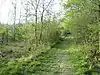 Finemere Wood
