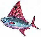 Pentanogmius evolutus