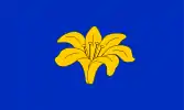 Elayne's personal flag.