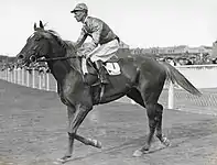 Peter Pan 1935 Spring Stakes jockey Jim Pike.