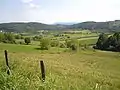 Petnica (Петница)