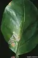 Damage