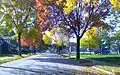 N 16th Street, Arlngton Heights