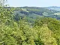 Pickett's Hole is in the north of Westcott, an escarpment with deciduous woods which adjoins Ranmore Common