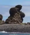 "The Bear´s Rock", a natural rock formation