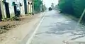 Pindi, Botala