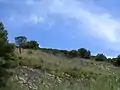 Grassland and ampelodesma
