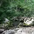 Creek running across Farlow Gap trail.