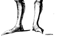 Sabatons with tapered points (called à la poulaine or Crakows)