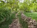 Khalifeh Hesar Alley of beautiful gardens