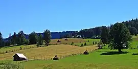 Poiana Negrii village