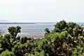 The view to Point of Ayr