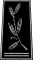 Commissaire divisionnaire (Chief Superintendent)