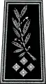 Directeur des services actifs (Director of the Active Services) Equivalent of a Deputy Commissioner in London in a British-style police force