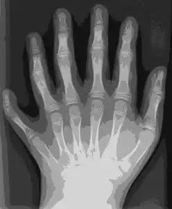 Traced with Potrace in Inkscape to an eight-color SVG image in 2012 (336&nbsp;KB)