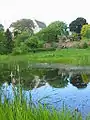 Wildlife pond