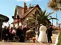 The show: The Wedding of Popeye and Olive Oyl