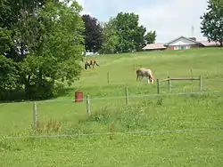 Porter Township