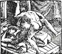 Image 8 woodcut booklet