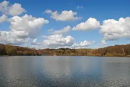 A lake surrounded by trees