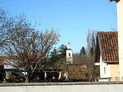 The Orthodox church.