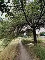 Road in the private sector
