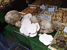 Calvatia gigantea, the giant puffball for sale at a market in England