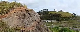 Te Tauoma / Purchas Hill