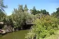 Putah Creek at the University of California, Davis