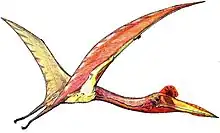 The azhdarchid Quetzalcoatlus, one of the largest animals to ever fly, lived during the Late Cretaceous