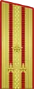 parade uniform, Land forces (1955-1994), and since 2010