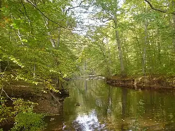 In Ridley Creek State Park .mw-parser-output .geo-default,.mw-parser-output .geo-dms,.mw-parser-output .geo-dec{display:inline}.mw-parser-output .geo-nondefault,.mw-parser-output .geo-multi-punct{display:none}.mw-parser-output .longitude,.mw-parser-output .latitude{white-space:nowrap}39°56′57″N 75°25′48″W﻿ / ﻿39.9491°N 75.4301°W﻿ / 39.9491; -75.4301﻿ (Ridley Creek State Park)