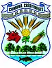 Coat of arms of Cristinești