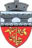 Coat of arms of Mărăcineni